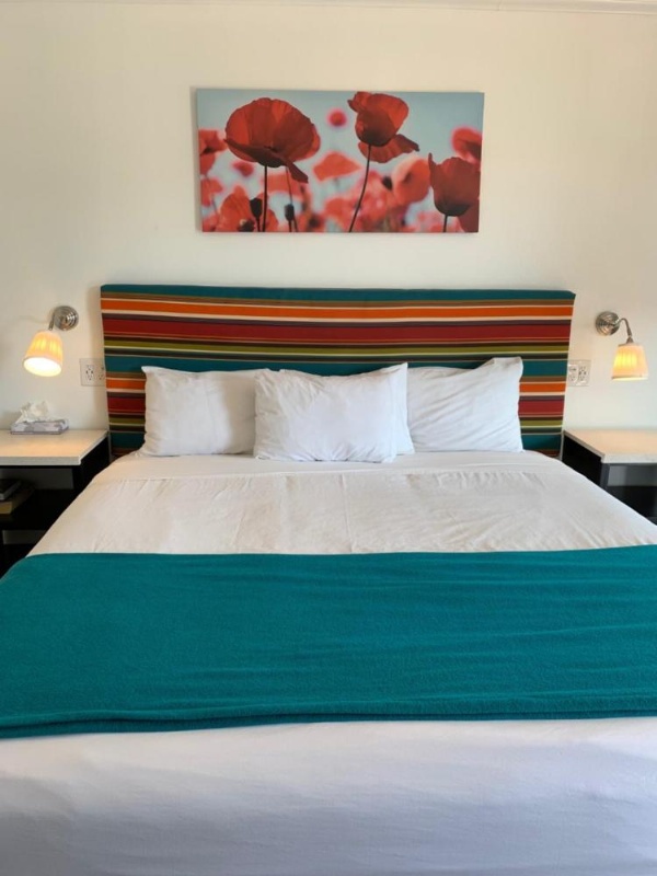 Sandyland Reef Inn image 10