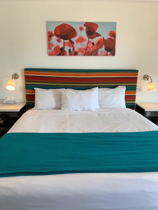 Sandyland Reef Inn Main image